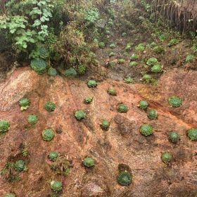chinh phuc fansipan netizen me man thac sen da o cung duong trekking 3aa7b1