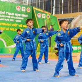 Khong chi gop phan nang cao suc khoe the chat vo co truyen cung giup cac em ren luyen y chi ben bi va mang toi nguon nang luong tu nhien de cao lon vuon xa.
