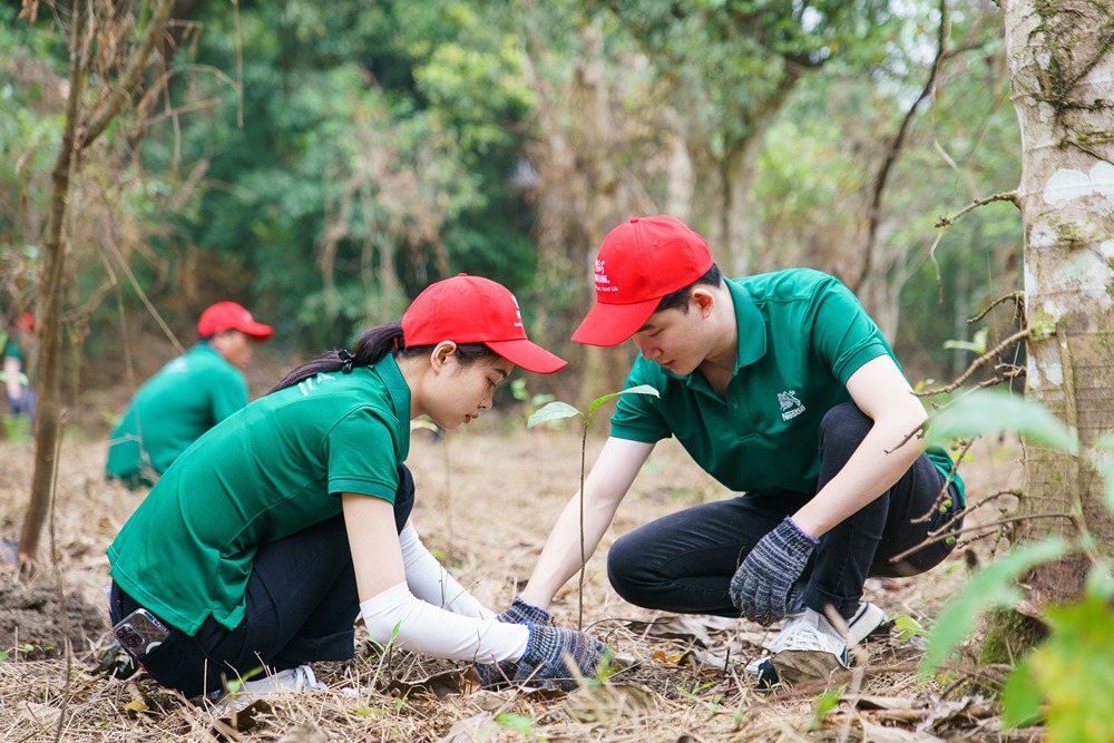 Nestlé Việt Nam cùng người tiêu dùng hành động chống lại biến đổi khí hậu, vì mục tiêu phát triển bền vững 1 Nestle Viet Nam cung nguoi tieu dung trai nghiem hoat dong trong rung tai Vuon Quoc Gia Cuc Phuong