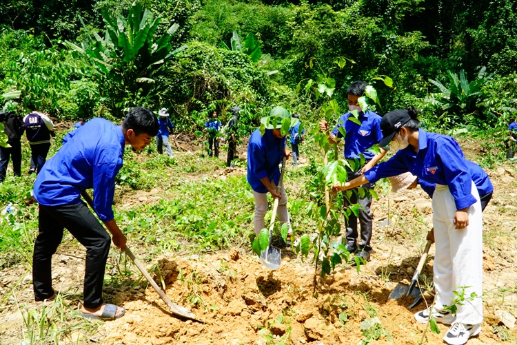 “Triệu Cây Xanh - Vì Một Việt Nam Xanh” tiếp tục hành trình phủ xanh rừng đầu nguồn 1 PepsoCo Trieu cay xanh vi mot Viet Nam