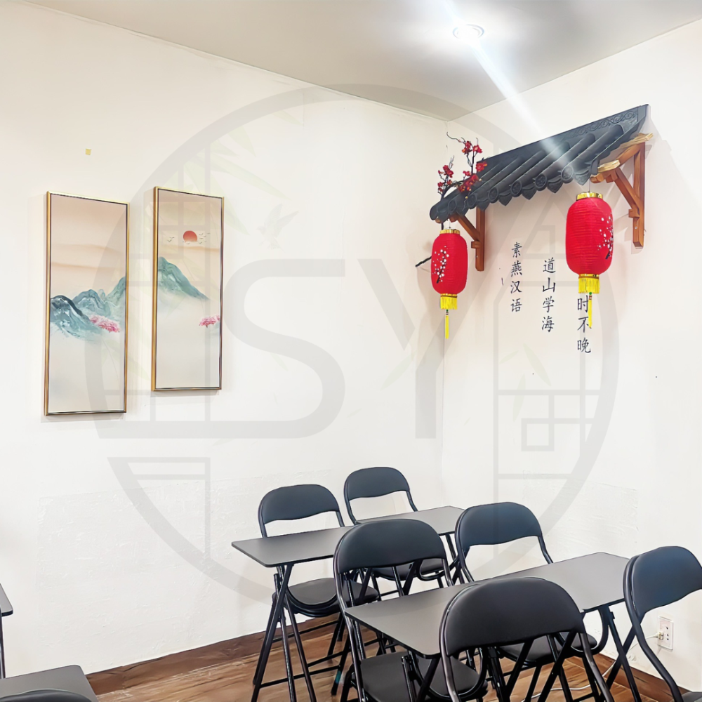 Cặp bài trùng nữ doanh nhân trẻ khởi nghiệp dạy Hoa ngữ 12 SuYan 4