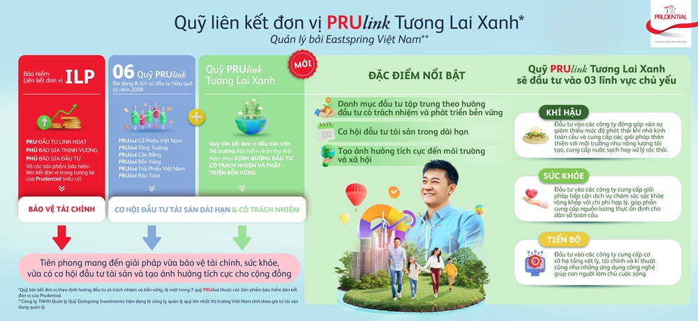 Info PRUlink TLX final