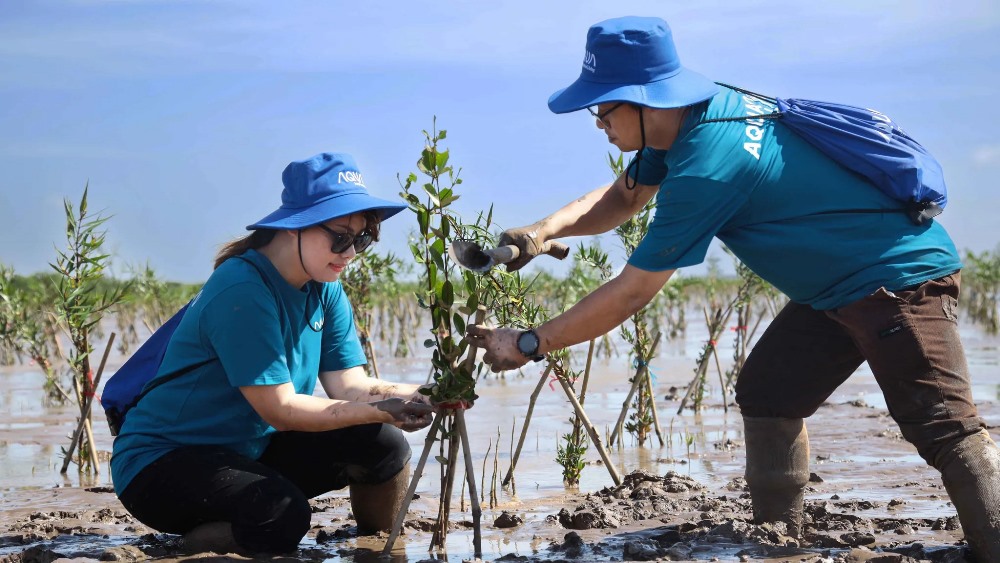 Hoạt động trồng rừng “AQUA chăm - trăm sức dưỡng sống” được vinh danh là chiến dịch marketing vì phát triển bền vững - hạng mục CSR 2 kinhtevadoanhnghiep.com Khong chi dung lai o hoat dong tai tro AQUA Viet Nam cung to chuc chuyen di trai nghiem nham lan toa tinh than trong cong dong