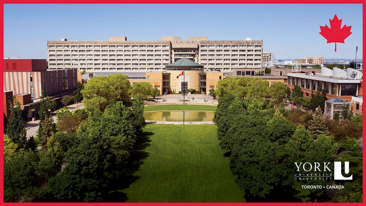 Lifestyleonline Dai hoc York – Toronto Canada 2