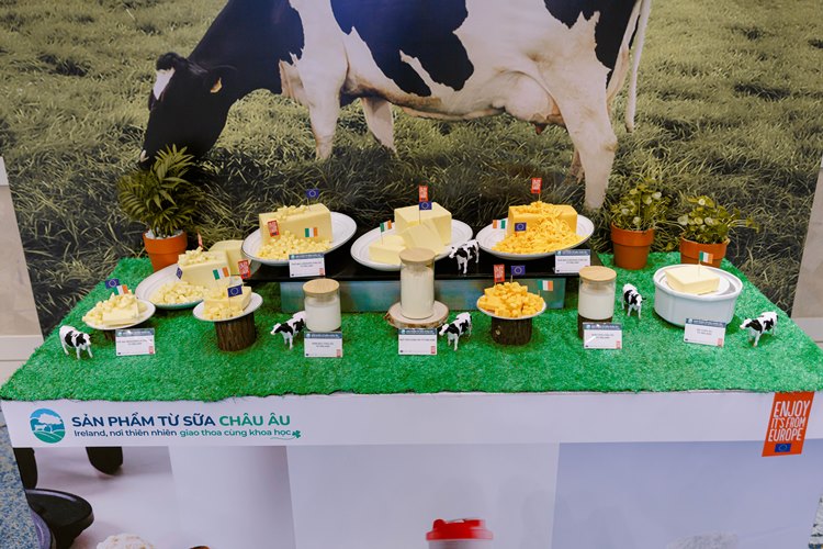 sữa